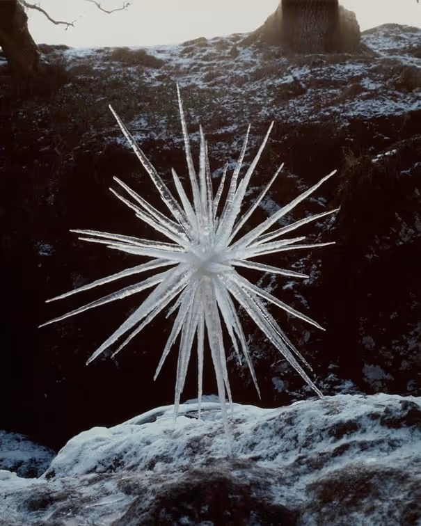 #68 Art I Saved This Week