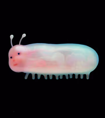 #4 Art I Saved This Week