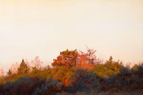 #45 Art I Saved This Week